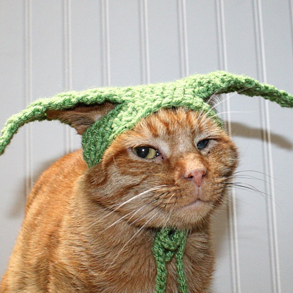 HAND CRAFTED Baby Yoda Mandalorian Crochet Cat Hat Wig Ears Costume Photo Prop - Picture 3 of 14